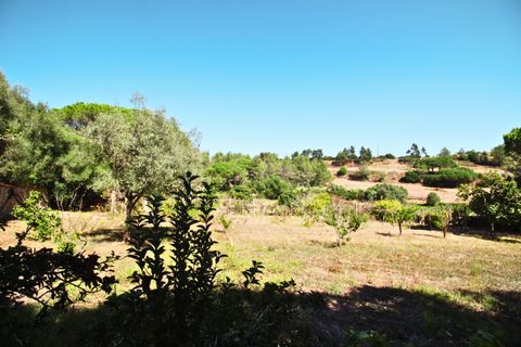Herregård i Sintra, Lisbon, Sintra - € 1 799 000 | Ref: W-02WOZX - foto 38